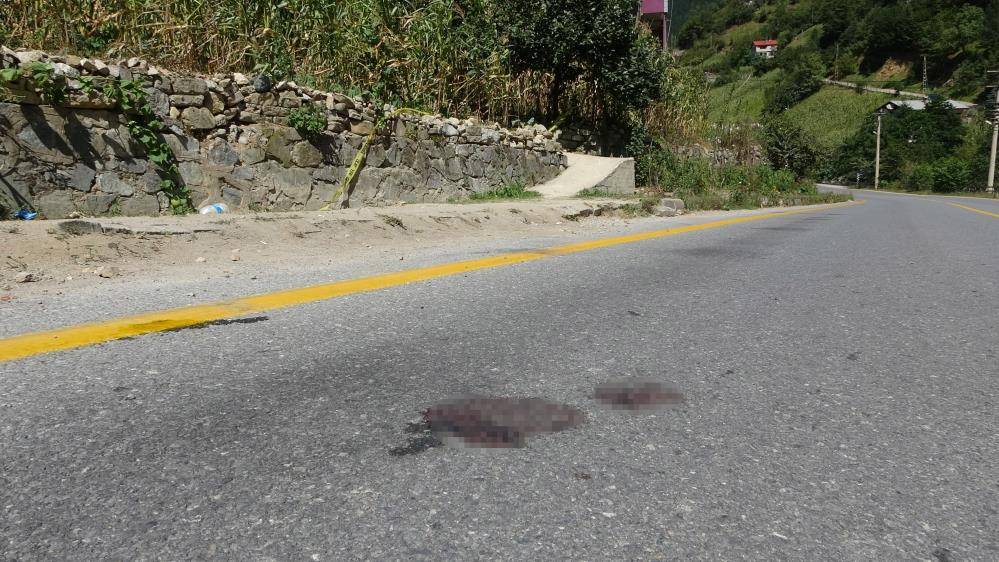 Düğün evini kana bulayan olayın görüntüleri ortaya çıktı 2